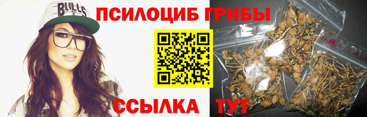 Псилоцибиновые грибы MAGIC MUSHROOMS  Вход с VPN  Галлюциногенные грибы Cubensis  Братск 